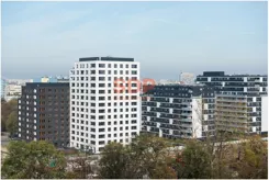 43469 - zdjęcie nr 4