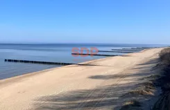 43673 - zdjęcie nr 4