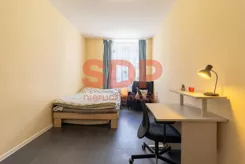 44585 - zdjęcie nr 1