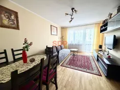 45853 - zdjęcie nr 0