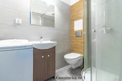 42704 - zdjęcie nr 3