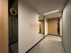44575 - zdjęcie nr 2