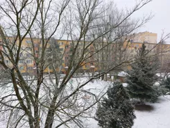 45633 - zdjęcie nr 2
