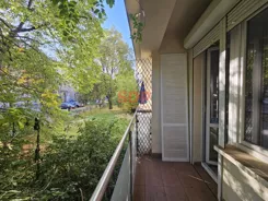 45858 - zdjęcie nr 3