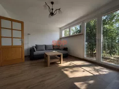 45573 - zdjęcie nr 1