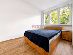 45573 - zdjęcie nr 2