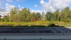 45583 - zdjęcie nr 4