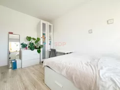 42381 - zdjęcie nr 1