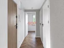 45579 - zdjęcie nr 2