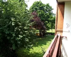 43749 - zdjęcie nr 2