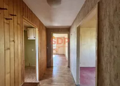 44541 - zdjęcie nr 1