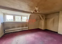 44541 - zdjęcie nr 4