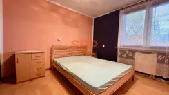 44343 - zdjęcie nr 3