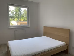 37859 - zdjęcie nr 4