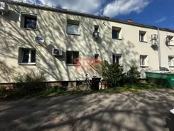 44451 - zdjęcie nr 3