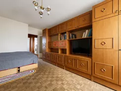 45392 - zdjęcie nr 0