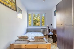 42877 - zdjęcie nr 4