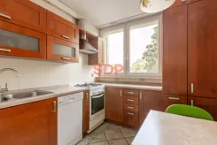 45532 - zdjęcie nr 4