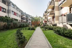45835 - zdjęcie nr 4