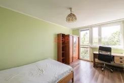 45626 - zdjęcie nr 1