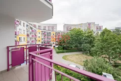 45151 - zdjęcie nr 1