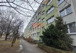 44012 - zdjęcie nr 4