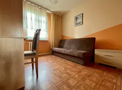 42059 - zdjęcie nr 2
