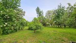 37688 - zdjęcie nr 3
