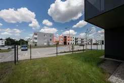 45161 - zdjęcie nr 2