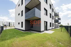45161 - zdjęcie nr 3