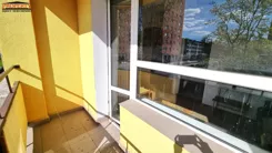 PRO-MS-11336 - zdjęcie nr 2
