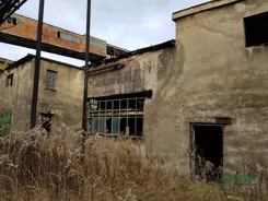 6/1/11/2020 - zdjęcie nr 3