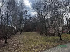 4/15/02/2026 - zdjęcie nr 0