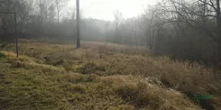 4/58/12/2019 - zdjęcie nr 0