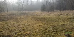 4/58/12/2019 - zdjęcie nr 3