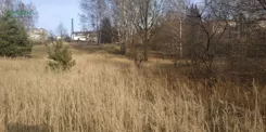 230-49/2025 - zdjęcie nr 4