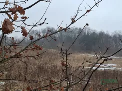 4/2/01/2026 - zdjęcie nr 1