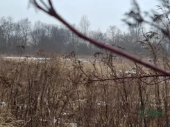 4/2/01/2026 - zdjęcie nr 2