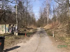 4/3/6/2025 - zdjęcie nr 1