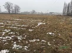 4/24/01/2026 - zdjęcie nr 0