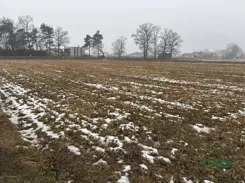 4/24/01/2026 - zdjęcie nr 1