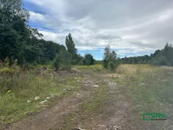 4/7/09/2025 - zdjęcie nr 2