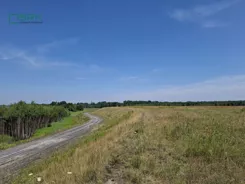 230-136/2024 - zdjęcie nr 2