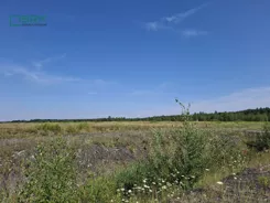 230-136/2024 - zdjęcie nr 3