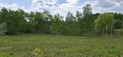 4/4/05/2025 - zdjęcie nr 2