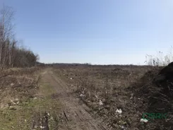 4/83/01/2020 - zdjęcie nr 0