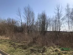 4/83/01/2020 - zdjęcie nr 1