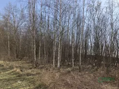 4/83/01/2020 - zdjęcie nr 2