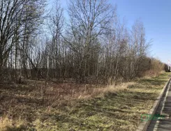 4/83/01/2020 - zdjęcie nr 4