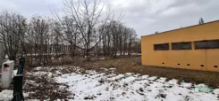 4/21/01/2026 - zdjęcie nr 2